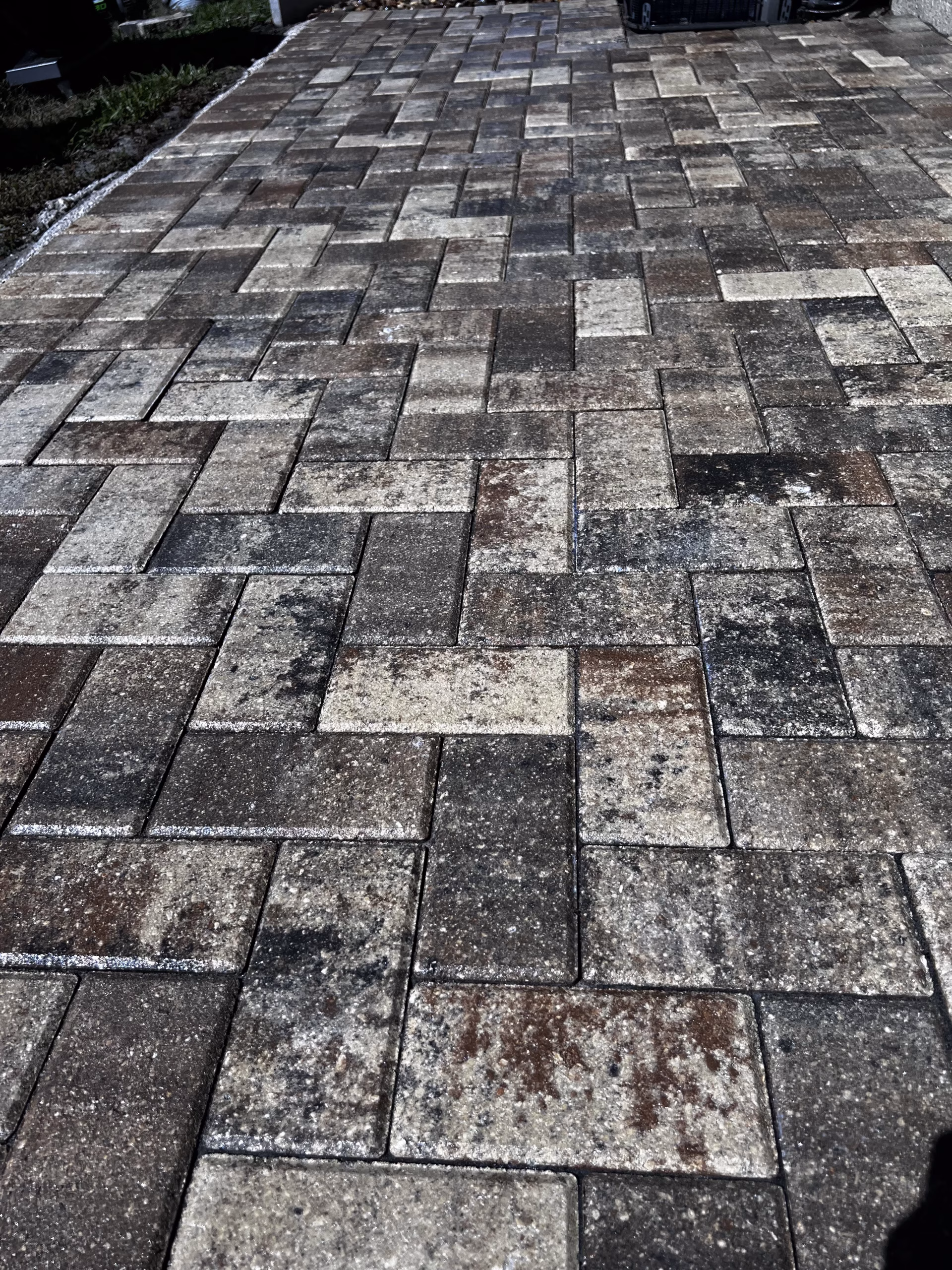 Paver Restoration in Tampa Florida